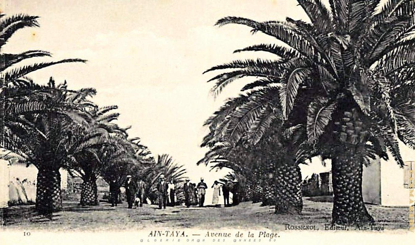 Ain-Taya - Avenue de la Plage.jpg